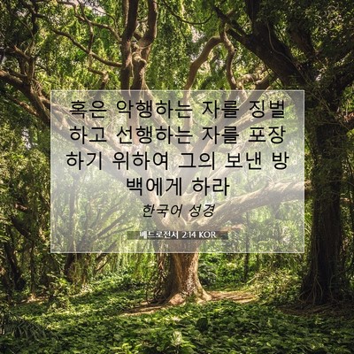 Picture 07 - 베드로전서 2:14 KOR - 혹은 악행하는 자를 징벌하고 - Bible Verse Picture