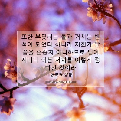 Picture 07 - 베드로전서 2:8 KOR - 또한 부딪히는 돌과 거치는 반석이 - Bible Verse Picture