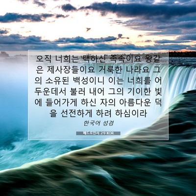 Picture 07 - 베드로전서 2:9 KOR - 오직 너희는 택하신 족속이요 왕같은 - Bible Verse Picture