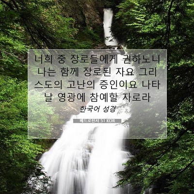 Picture 07 - 베드로전서 5:1 KOR - 너희 중 장로들에게 권하노니 나는 - Bible Verse Picture