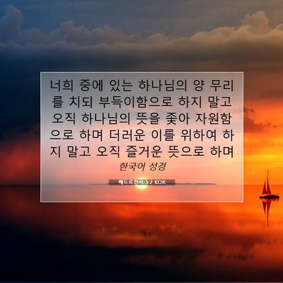 Picture 07 - 베드로전서 5:2 KOR - 너희 중에 있는 하나님의 양 무리를 - Bible Verse Picture