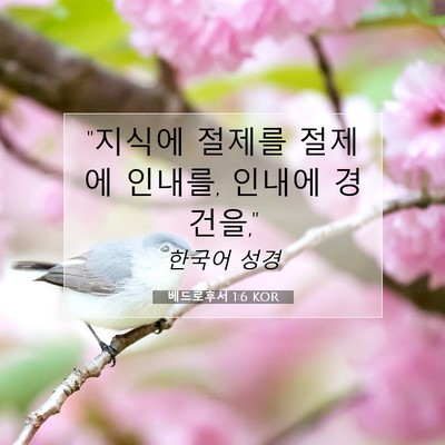 Picture 07 - 베드로후서 1:6 KOR - 