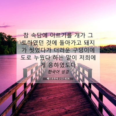 Picture 07 - 베드로후서 2:22 KOR - 참 속담에 이르기를 개가 그 - Bible Verse Picture