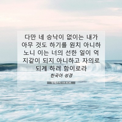 Picture 07 - 빌레몬서 1:14 KOR - 다만 네 승낙이 없이는 내가 아무 - Bible Verse Picture
