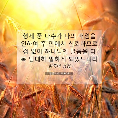 Picture 07 - 빌립보서 1:14 KOR - 형제 중 다수가 나의 매임을 인하여 - Bible Verse Picture