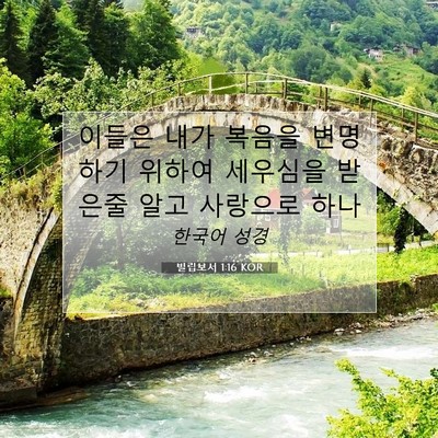 Picture 07 - 빌립보서 1:16 KOR - 이들은 내가 복음을 변명하기 위하여 - Bible Verse Picture