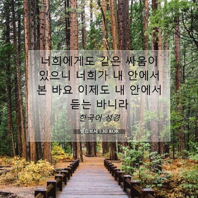 Picture 07 - 빌립보서 1:30 KOR - 너희에게도 같은 싸움이 있으니 - Bible Verse Picture