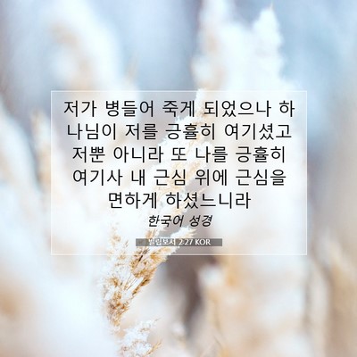 Picture 07 - 빌립보서 2:27 KOR - 저가 병들어 죽게 되었으나 하나님이 - Bible Verse Picture