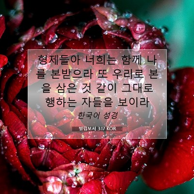 Picture 07 - 빌립보서 3:17 KOR - 형제들아 너희는 함께 나를 본받으라 - Bible Verse Picture