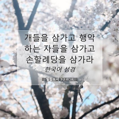 Picture 07 - 빌립보서 3:2 KOR - 개들을 삼가고 행악하는 자들을 - Bible Verse Picture