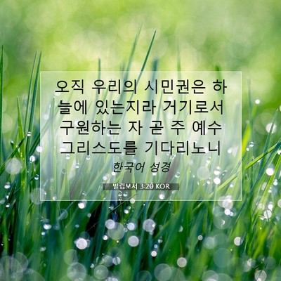 Picture 07 - 빌립보서 3:20 KOR - 오직 우리의 시민권은 하늘에 - Bible Verse Picture