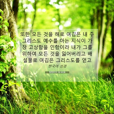 Picture 07 - 빌립보서 3:8 KOR - 또한 모든 것을 해로 여김은 내 주 - Bible Verse Picture