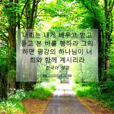 Picture 07 - 빌립보서 4:9 KOR - 너희는 내게 배우고 받고 듣고 본 - Bible Verse Picture