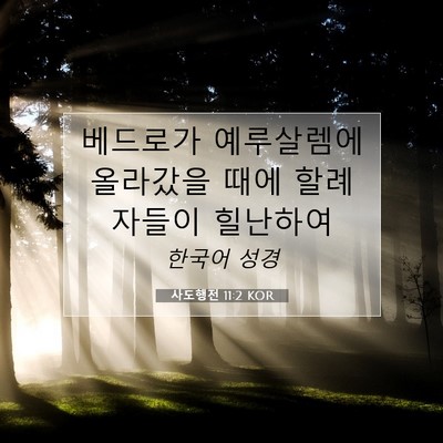 Picture 07 - 사도행전 11:2 KOR - 베드로가 예루살렘에 올라갔을 때에 - Bible Verse Picture