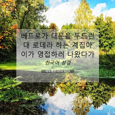 Picture 07 - 사도행전 12:13 KOR - 베드로가 대문을 두드린대 로데라 - Bible Verse Picture