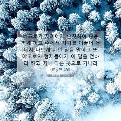 Picture 07 - 사도행전 12:17 KOR - 베드로가 저희에게 손짓하여 - Bible Verse Picture