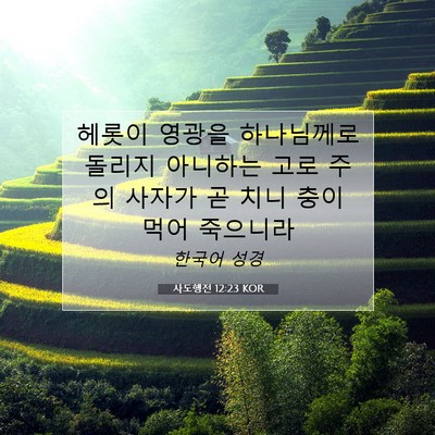 Picture 07 - 사도행전 12:23 KOR - 헤롯이 영광을 하나님께로 돌리지 - Bible Verse Picture