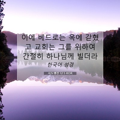 Picture 07 - 사도행전 12:5 KOR - 이에 베드로는 옥에 갇혔고 교회는 - Bible Verse Picture