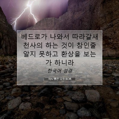 Picture 07 - 사도행전 12:9 KOR - 베드로가 나와서 따라갈새 천사의 - Bible Verse Picture