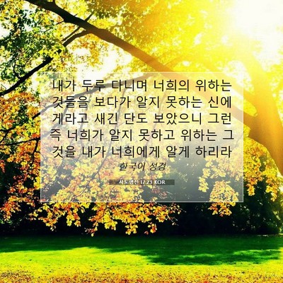 Picture 07 - 사도행전 17:23 KOR - 내가 두루 다니며 너희의 위하는 - Bible Verse Picture