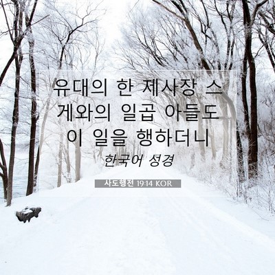 Picture 07 - 사도행전 19:14 KOR - 유대의 한 제사장 스게와의 일곱 - Bible Verse Picture