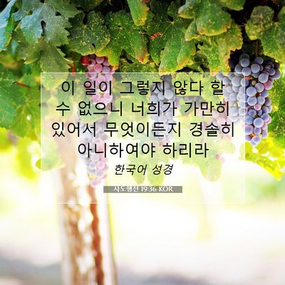 Picture 07 - 사도행전 19:36 KOR - 이 일이 그렇지 않다 할 수 없으니 - Bible Verse Picture