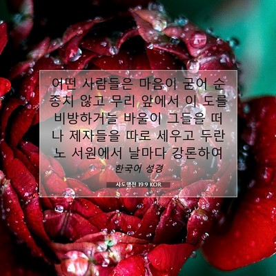 Picture 07 - 사도행전 19:9 KOR - 어떤 사람들은 마음이 굳어 순종치 - Bible Verse Picture