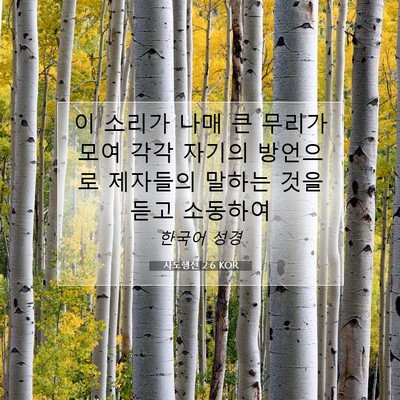 Picture 07 - 사도행전 2:6 KOR - 이 소리가 나매 큰 무리가 모여 각각 - Bible Verse Picture