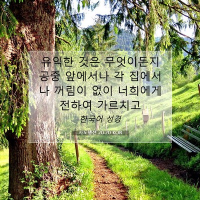 Picture 07 - 사도행전 20:20 KOR - 유익한 것은 무엇이든지 공중 - Bible Verse Picture