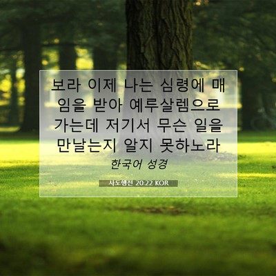 Picture 07 - 사도행전 20:22 KOR - 보라 이제 나는 심령에 매임을 받아 - Bible Verse Picture