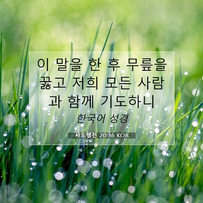 Picture 07 - 사도행전 20:36 KOR - 이 말을 한 후 무릎을 꿇고 저희 모든 - Bible Verse Picture