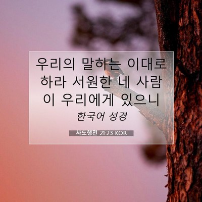 Picture 07 - 사도행전 21:23 KOR - 우리의 말하는 이대로 하라 서원한 - Bible Verse Picture