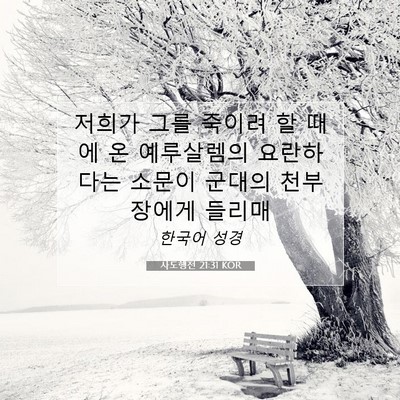 Picture 07 - 사도행전 21:31 KOR - 저희가 그를 죽이려 할 때에 온 - Bible Verse Picture