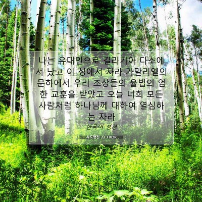 Picture 07 - 사도행전 22:3 KOR - 나는 유대인으로 길리기아 다소에서 - Bible Verse Picture
