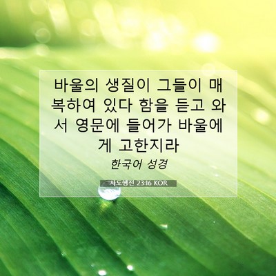 Picture 07 - 사도행전 23:16 KOR - 바울의 생질이 그들이 매복하여 있다 - Bible Verse Picture