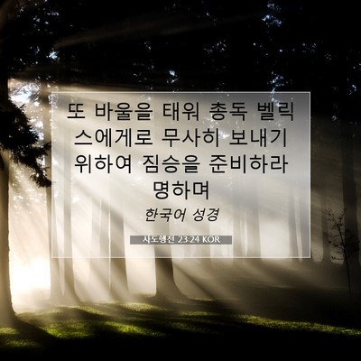 Picture 07 - 사도행전 23:24 KOR - 또 바울을 태워 총독 벨릭스에게로 - Bible Verse Picture