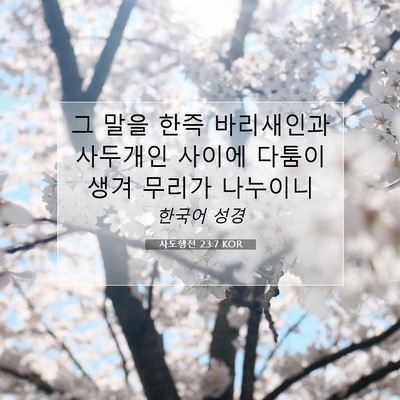 Picture 07 - 사도행전 23:7 KOR - 그 말을 한즉 바리새인과 사두개인 - Bible Verse Picture