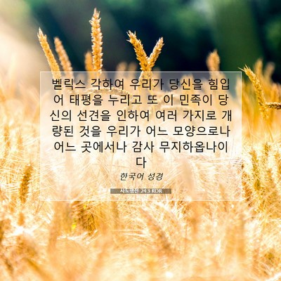 Picture 07 - 사도행전 24:3 KOR - 벨릭스 각하여 우리가 당신을 힘입어 - Bible Verse Picture
