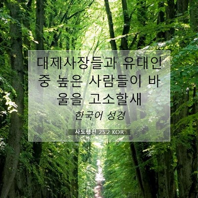 Picture 07 - 사도행전 25:2 KOR - 대제사장들과 유대인 중 높은 - Bible Verse Picture