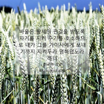 Picture 07 - 사도행전 25:21 KOR - 바울은 황제의 판결을 받도록 자기를 - Bible Verse Picture
