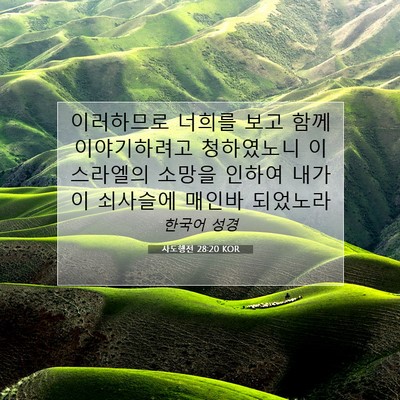 Picture 07 - 사도행전 28:20 KOR - 이러하므로 너희를 보고 함께 - Bible Verse Picture