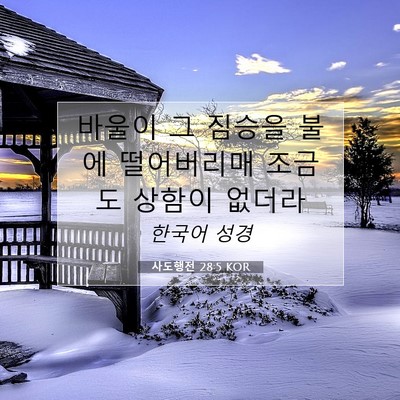Picture 07 - 사도행전 28:5 KOR - 바울이 그 짐승을 불에 떨어버리매 - Bible Verse Picture