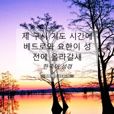 Picture 07 - 사도행전 3:1 KOR - 제 구시 기도 시간에 베드로와 - Bible Verse Picture