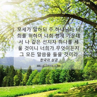Picture 07 - 사도행전 3:22 KOR - 모세가 말하되 주 하나님이 너희를 - Bible Verse Picture