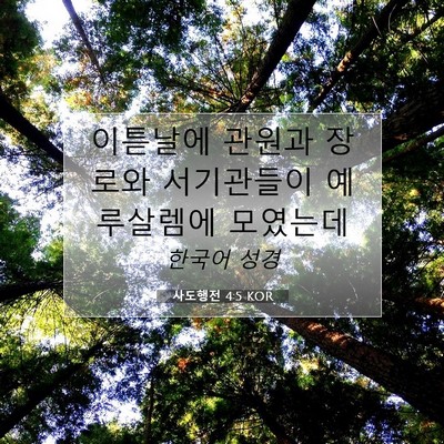 Picture 07 - 사도행전 4:5 KOR - 이튿날에 관원과 장로와 서기관들이 - Bible Verse Picture