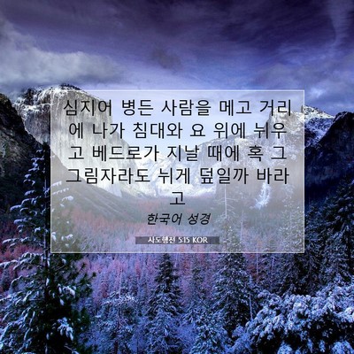 Picture 07 - 사도행전 5:15 KOR - 심지어 병든 사람을 메고 거리에 - Bible Verse Picture