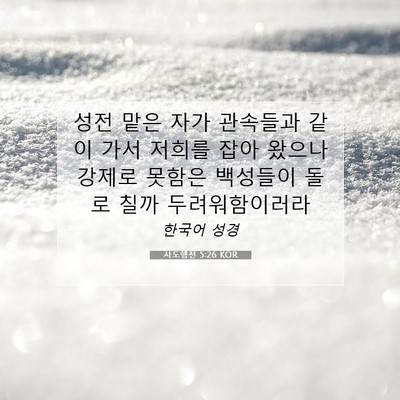 Picture 07 - 사도행전 5:26 KOR - 성전 맡은 자가 관속들과 같이 가서 - Bible Verse Picture