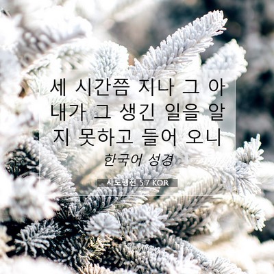Picture 07 - 사도행전 5:7 KOR - 세 시간쯤 지나 그 아내가 그 생긴 - Bible Verse Picture