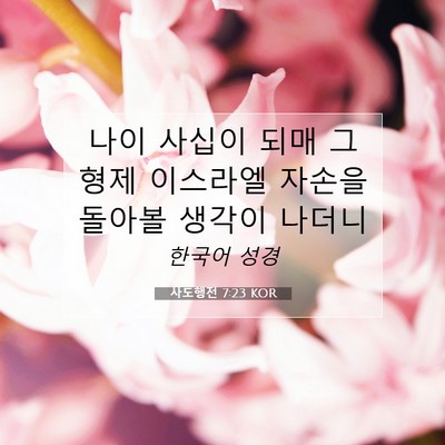 Picture 07 - 사도행전 7:23 KOR - 나이 사십이 되매 그 형제 이스라엘 - Bible Verse Picture