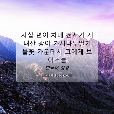 Picture 07 - 사도행전 7:30 KOR - 사십 년이 차매 천사가 시내산 광야 - Bible Verse Picture